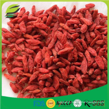 Low Pesticide Goji berries gouqizi price